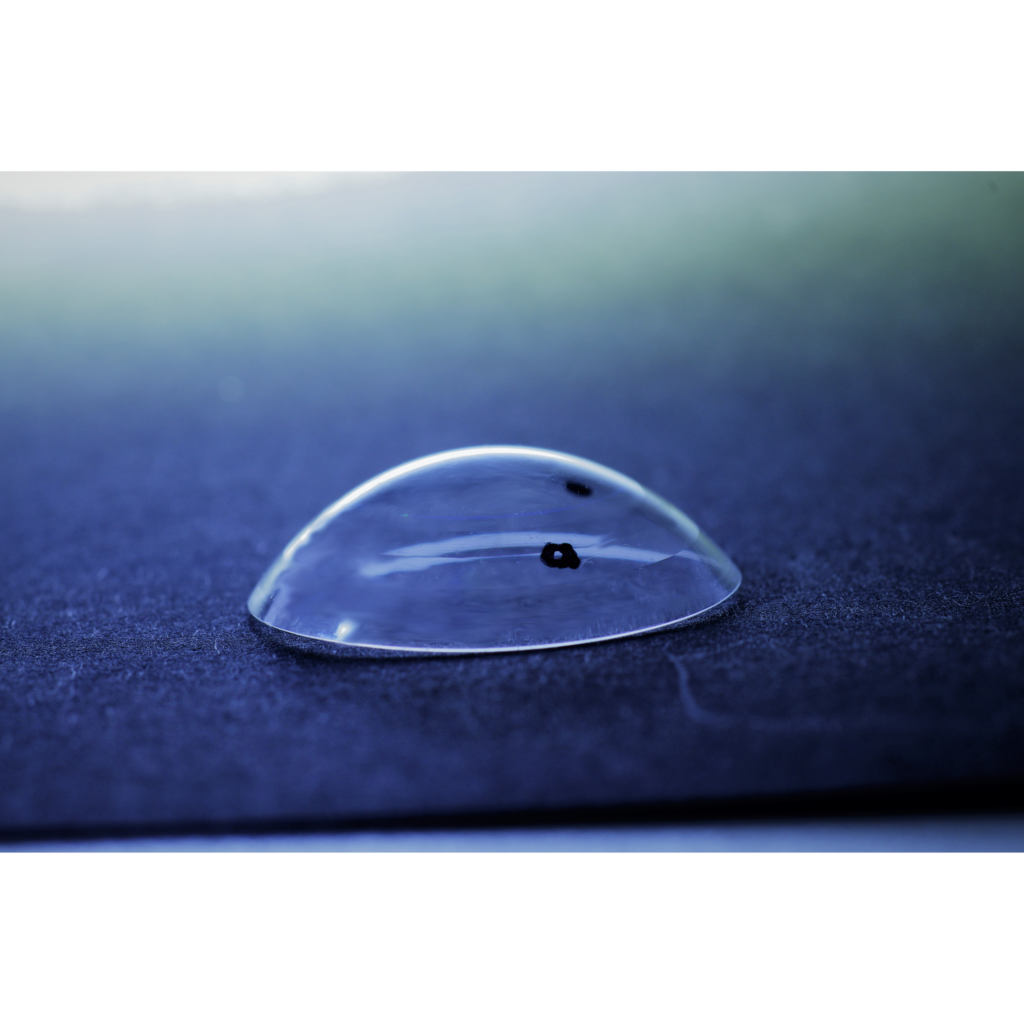 anBandage for Cats anvision